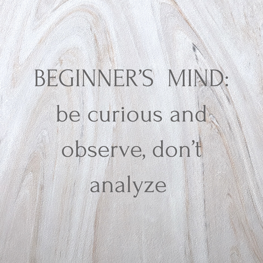 MBSR week 1: Beginner’s Mind